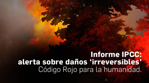 Informe del IPCC alerta sobre daños ‘irreversibles’, las empresas deben redoblar esfuerzos para mitigar