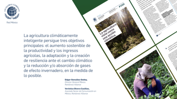 La agricultura vista como una acción climática | Artículo de Opinión