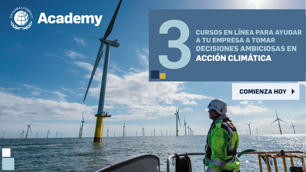 3 cursos en línea para ayudar a tu empresa a tomar medidas climáticas ambiciosas
