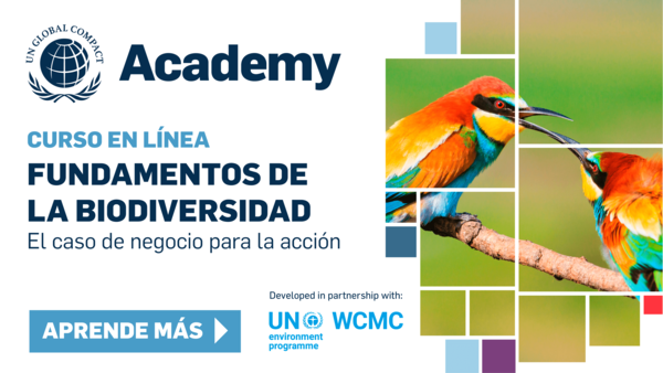 Actúa a favor de la naturaleza este Día Internacional de la Biodiversidad