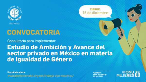 Vacante – Consultoría para Estudio de Ambición y Avance del sector privado en igualdad de género